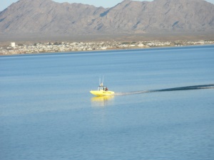 maak een boottoer op Lake Havasu | Lake Havasu